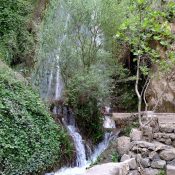 11880546_767071950068347_5913542001220253569_n