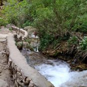 11889408_767071876735021_7044482855340865491_n