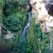 11898569_767071843401691_4469467356679654999_n