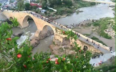 17156053_1343091612401376_6186683557577319557_n