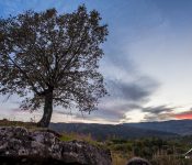 45430962_2177165005885330_827818323117867008_n