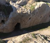 48361206_2414780535230208_2832592663276945408_n