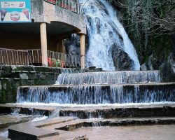 51325103_255363648690591_2365884349909303296_n