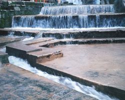 53517179_268951483998474_4631187978859839488_n