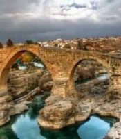 994442_507223969407820_6651972539488332847_n