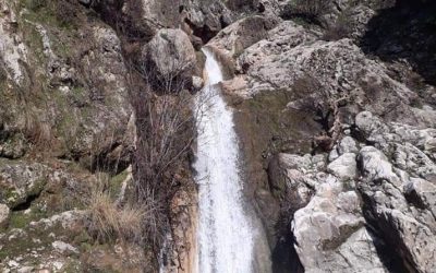 FB_IMG_1551194716973