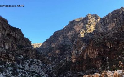 FB_IMG_1551194744347