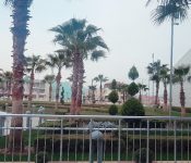 IMG_20190226_161649_507